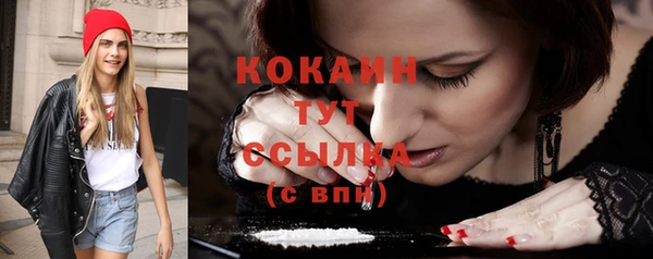 эйфоретик Бородино