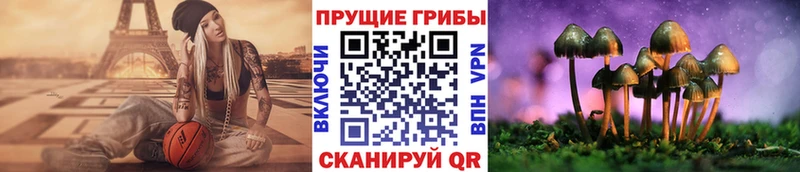 Галлюциногенные грибы прущие грибы  даркнет сайт  Клин 